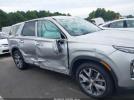 Hyundai PALISADE Sel Image 6