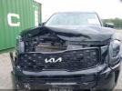 Kia Telluride Sx Image 13