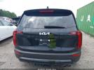 Kia Telluride Sx Image 12