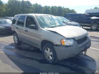  Salvage Ford Escape