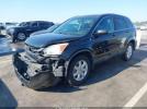 Honda CR-V Se Image 3