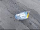 Ford Transit Image 12