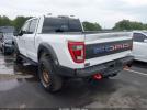 Ford F-150 Raptor Image 4