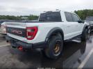Ford F-150 Raptor Image 9