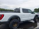 Ford F-150 Raptor Image 14