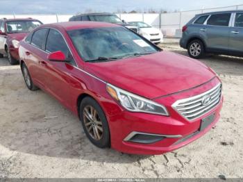 Salvage Hyundai SONATA