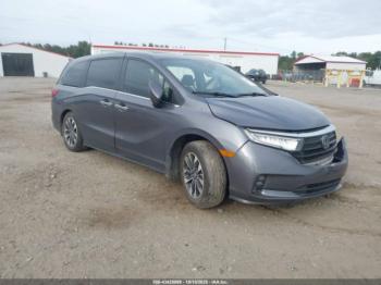  Salvage Honda Odyssey