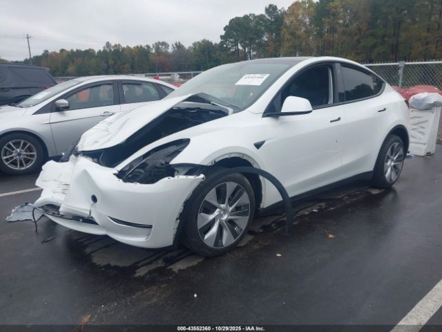 Tesla Model Y Image 2