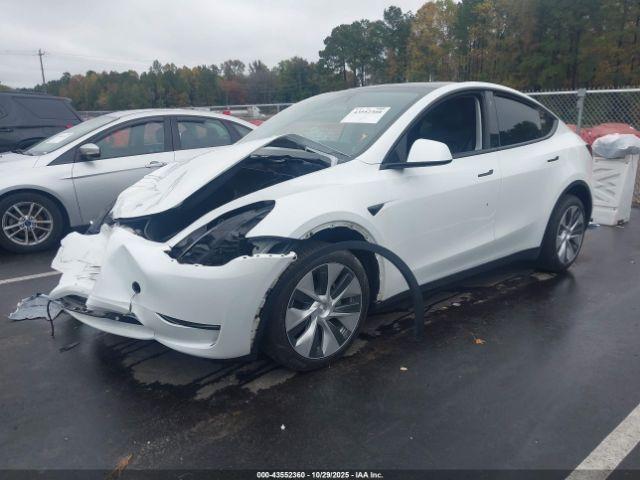 Tesla Model Y Image 2
