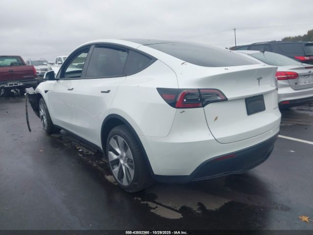Tesla Model Y Image 10