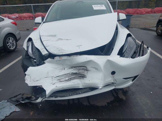 Tesla Model Y Image 5