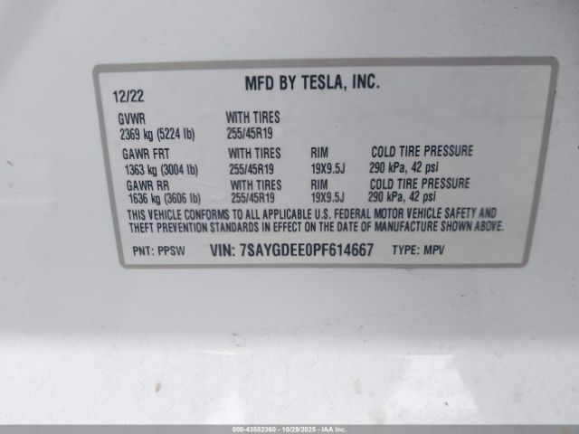 Tesla Model Y Image 7