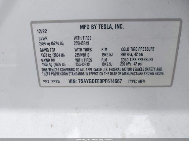 Tesla Model Y Image 7