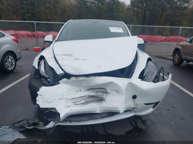 Tesla Model Y Image 15