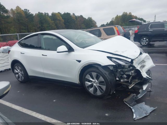 Tesla Model Y Image 11