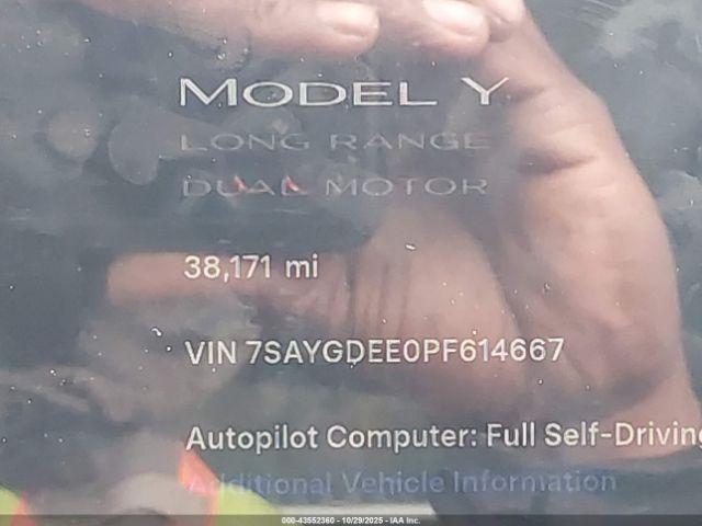 Tesla Model Y Image 12