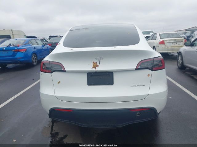 Tesla Model Y Image 14