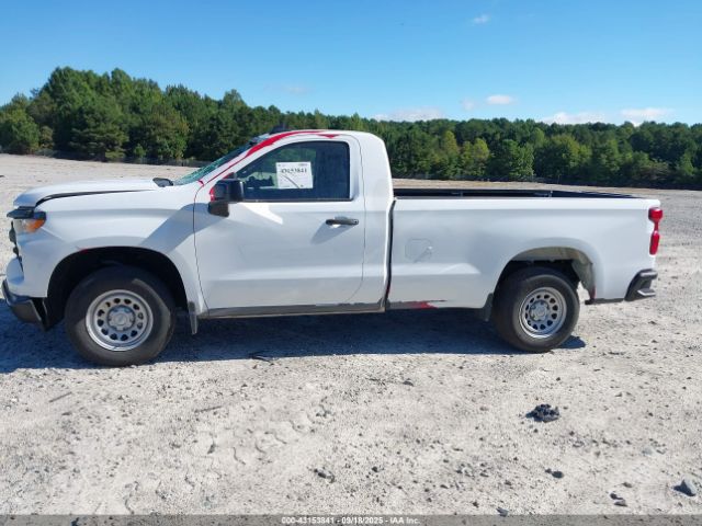 Chevrolet Silverado 1500 2wd  Long Bed Wt Image 12