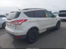 Ford Escape Se Image 4
