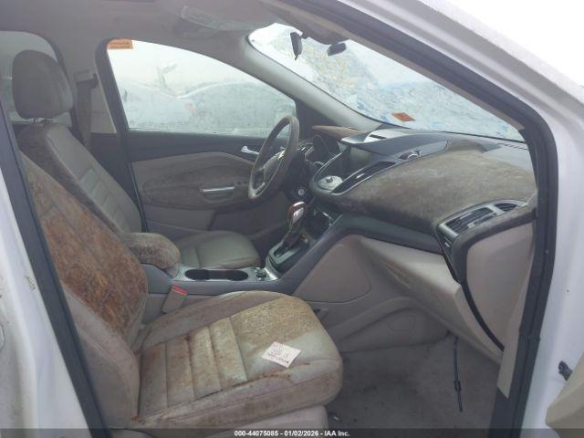 Ford Escape Se Image 5