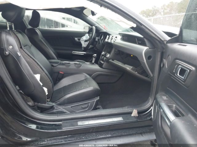 Ford Mustang Ecoboost Premium Fastback Image 5