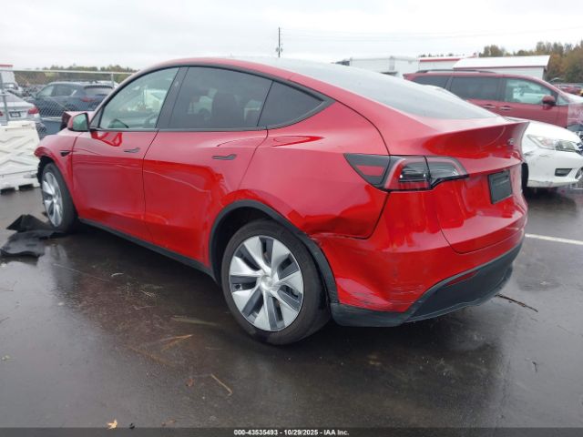 Tesla Model Y Image 4