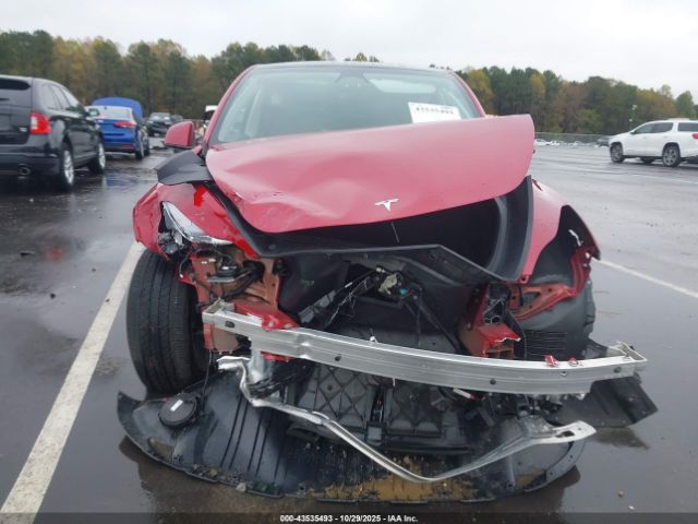 Tesla Model Y Image 2