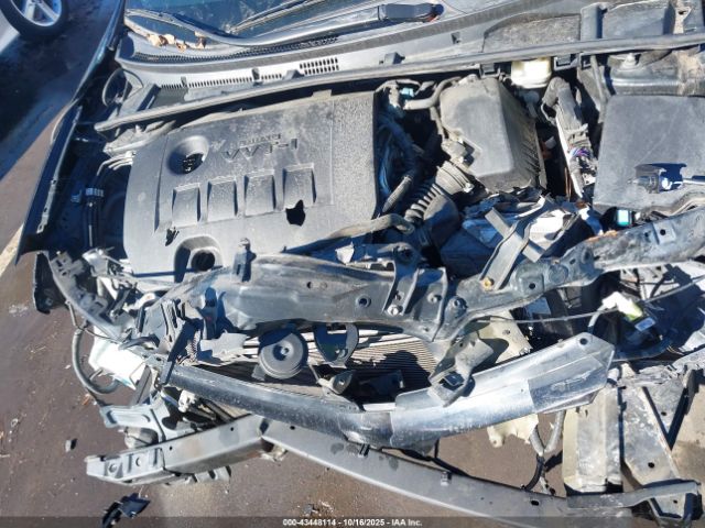 Toyota Corolla Le Image 8