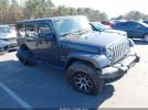Jeep Wrangler Sahara Image 1