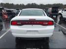 Dodge Charger Police Image 8