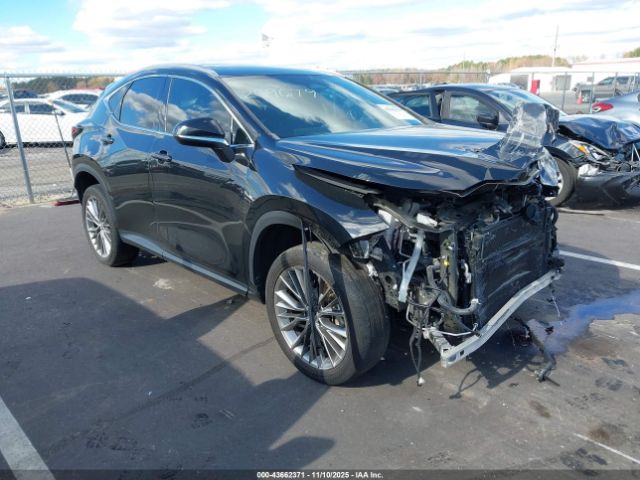 Lexus NX Premium Image 1