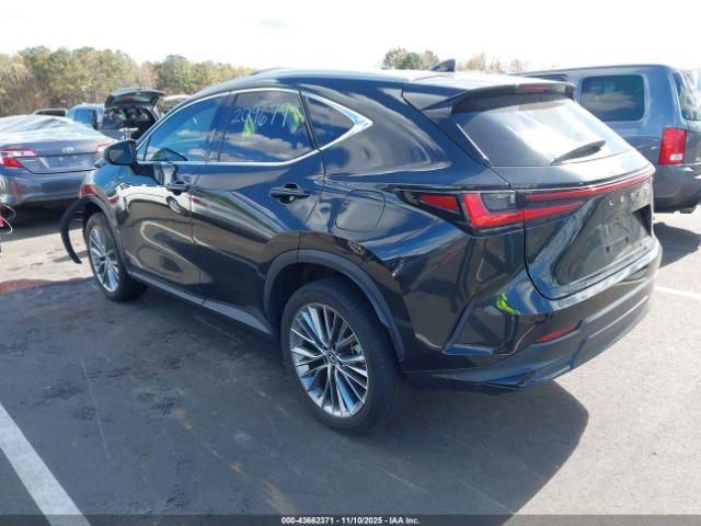 Lexus NX Premium Image 2