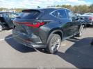 Lexus NX Premium Image 15