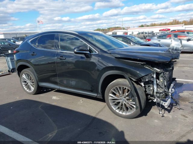 Lexus NX Premium Image 7