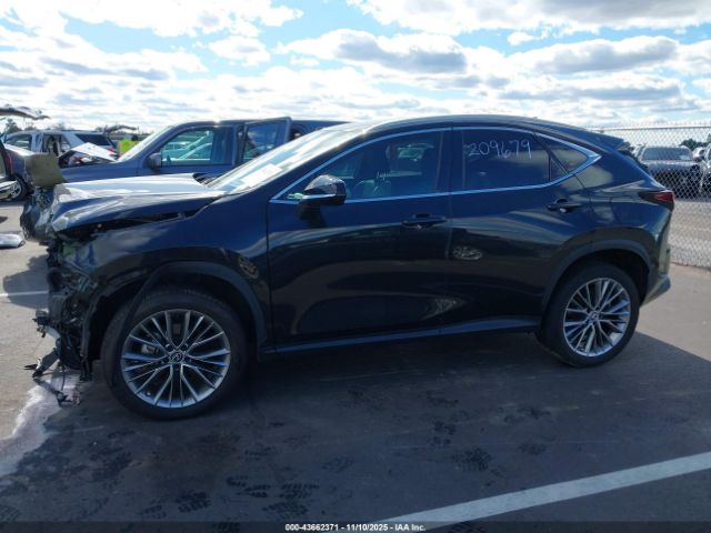 Lexus NX Premium Image 8