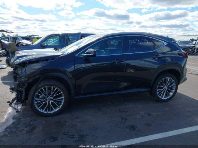 Lexus NX Premium Image 8