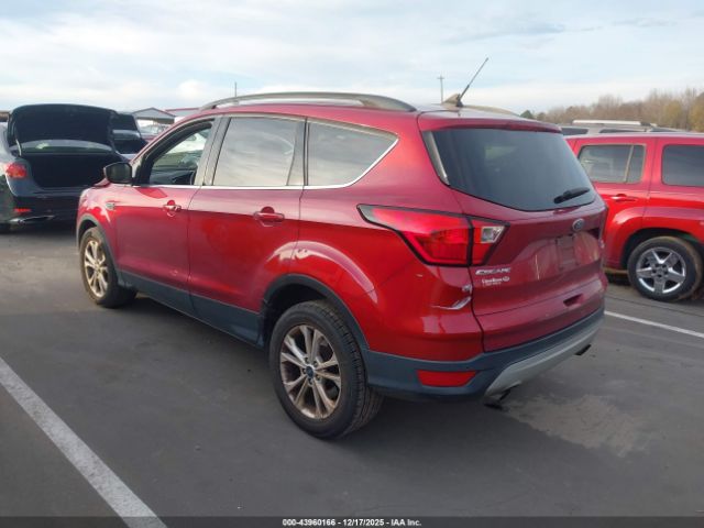 Ford Escape Sel Image 8
