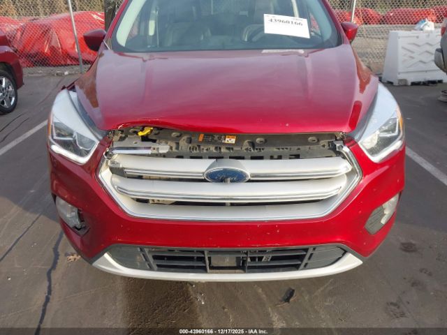 Ford Escape Sel Image 6