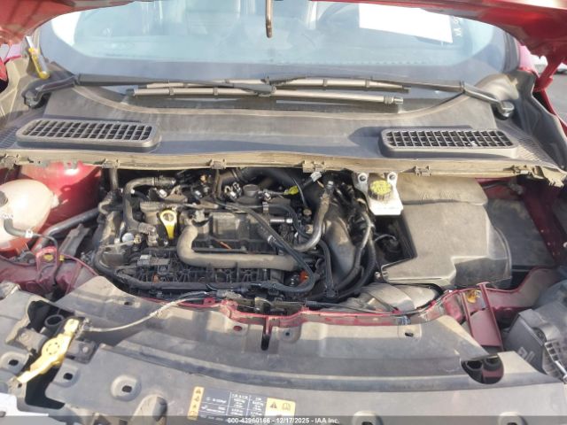 Ford Escape Sel Image 9