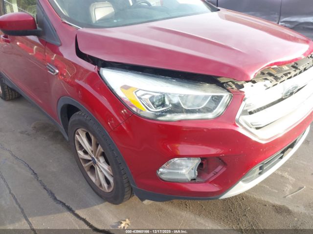 Ford Escape Sel Image 14