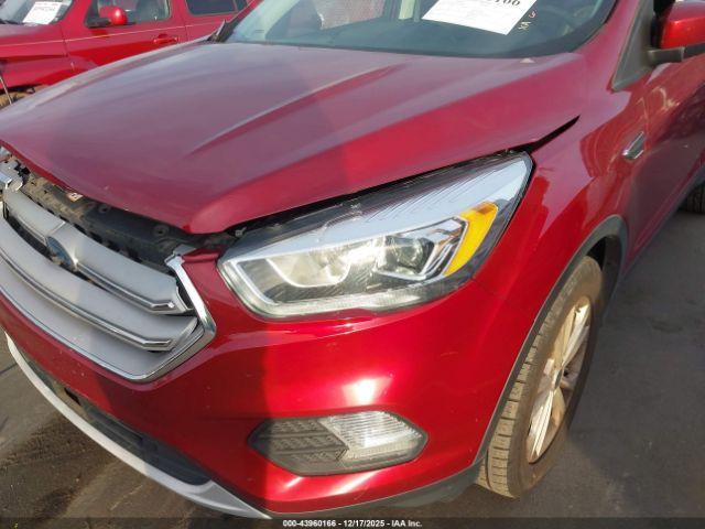 Ford Escape Sel Image 19