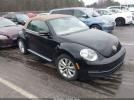 Volkswagen Beetle 2.0l Tdi Image 1