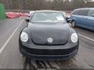 Volkswagen Beetle 2.0l Tdi Image 6