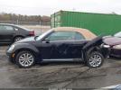 Volkswagen Beetle 2.0l Tdi Image 4