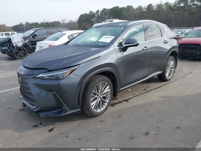 Lexus NX Premium Image 14