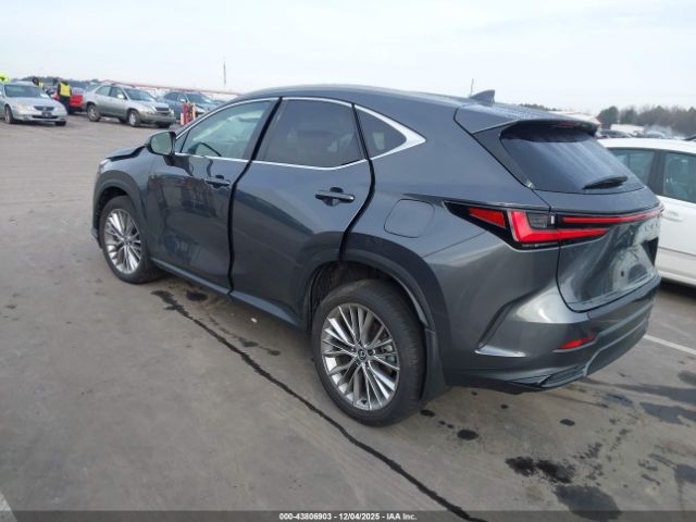 Lexus NX Premium Image 2