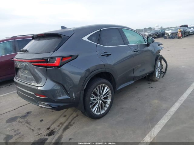 Lexus NX Premium Image 6