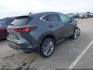 Lexus NX Premium Image 6