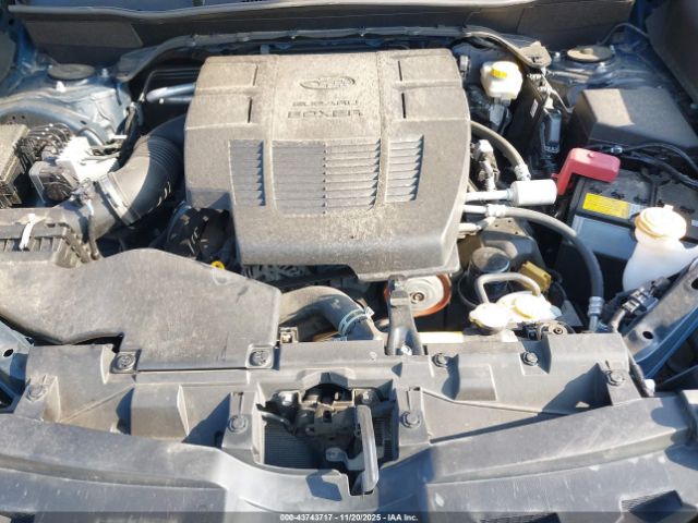 Subaru Forester Wilderness Image 7