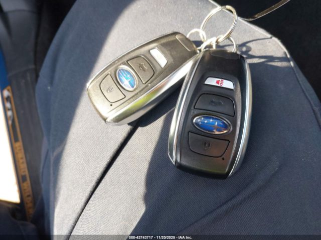 Subaru Forester Wilderness Image 11